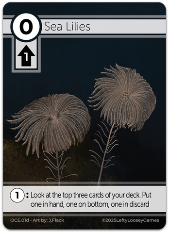 Sea Lilies