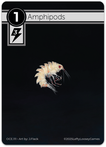 Amphipods