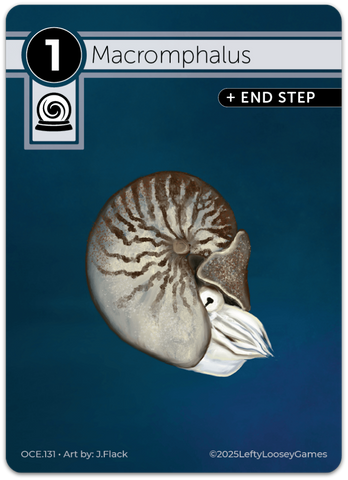 Macromphalus