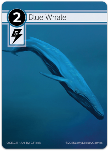 Blue Whale