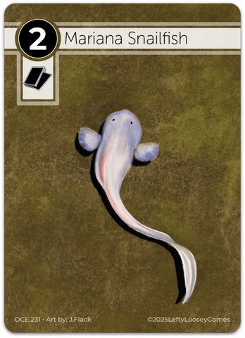 Mariana Snailfish