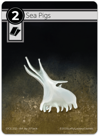 Sea Pigs